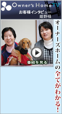 今すぐ見る